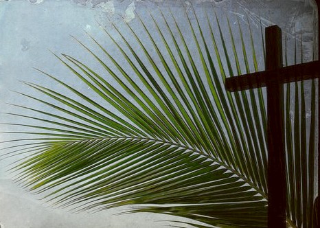 2025 Palm Sunday Services (13 April) @ Various Churches across the Deanery